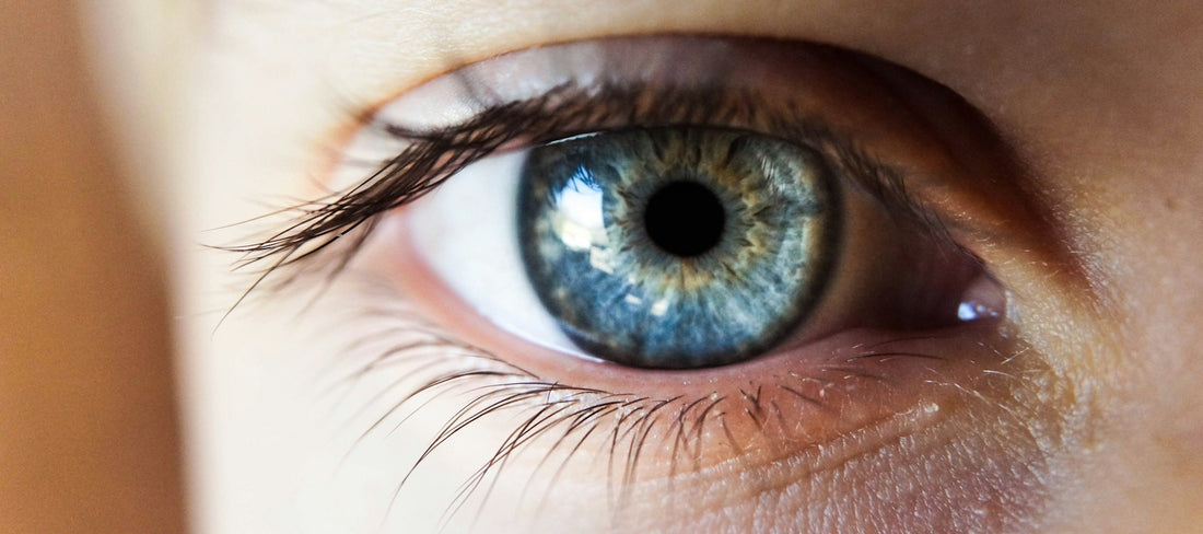 blue and green pupil of an eye